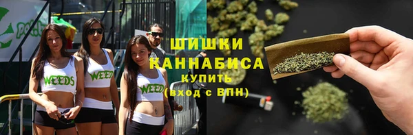 стаф Заводоуковск