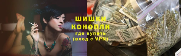 стаф Заводоуковск