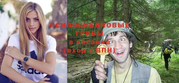 метадон Чердынь