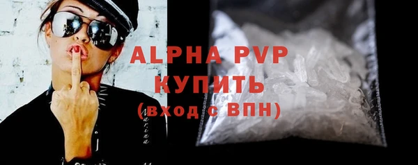 стаф Заводоуковск