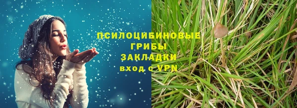 стаф Заводоуковск