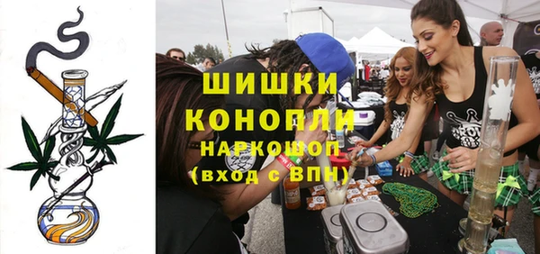 стаф Заводоуковск