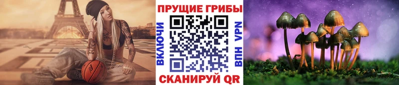 Галлюциногенные грибы Magic Shrooms  Купить  Павлово 